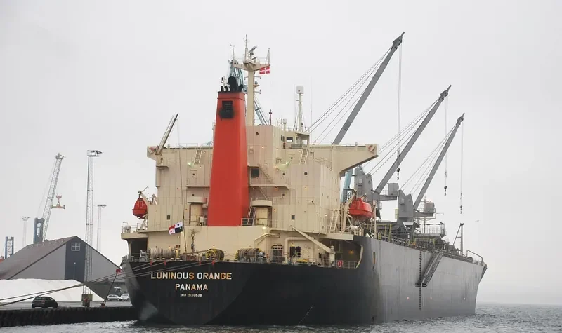 CHUETSU DREAM Bulk Carrier IMO 9130638 photo 4