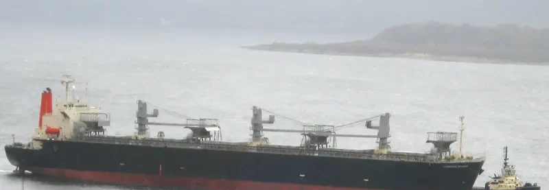 CHUETSU DREAM Bulk Carrier IMO 9130638 photo 7