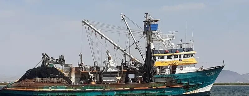 BAMAR I General Cargo IMO 9130731