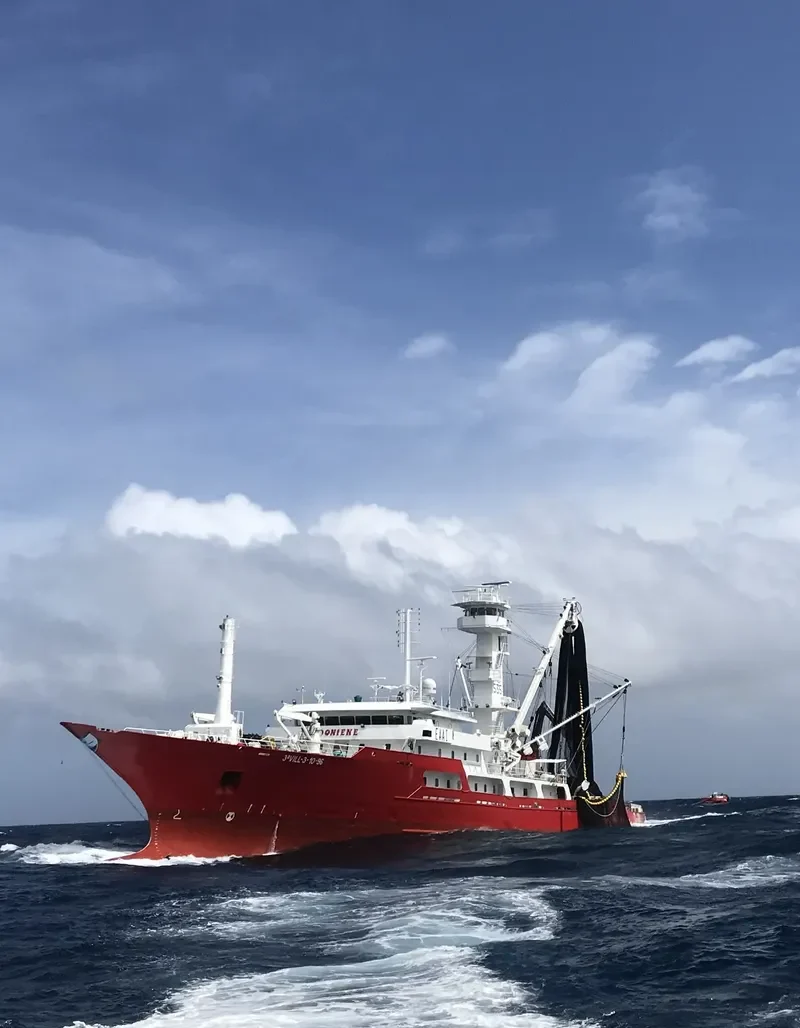 DONIENE General Cargo IMO 9130779 photo 4