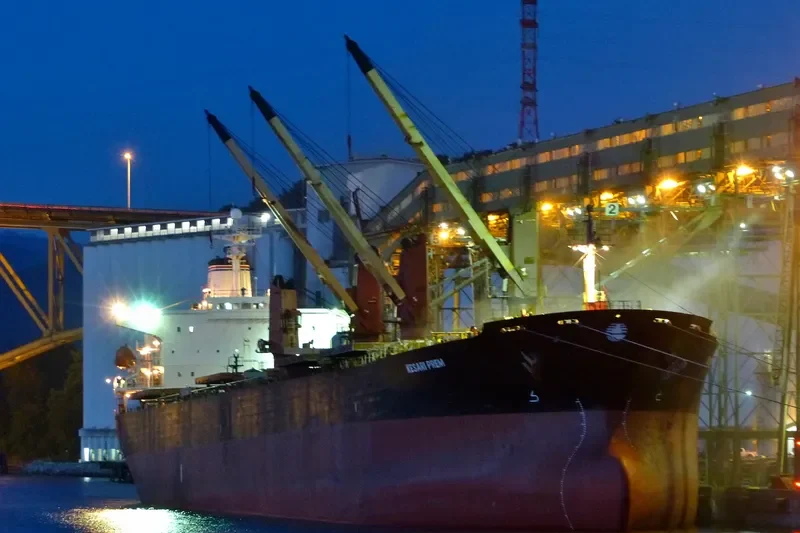MEKONG Bulk Carrier IMO 9130963 photo 3