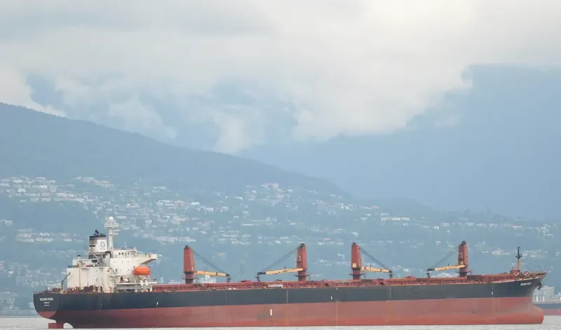 MEKONG Bulk Carrier IMO 9130963 photo 4