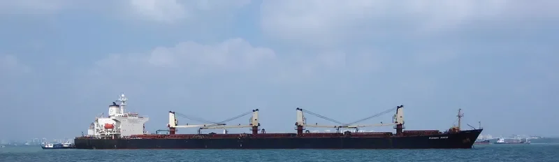 VRINDA Bulk Carrier IMO 9130975 photo 2