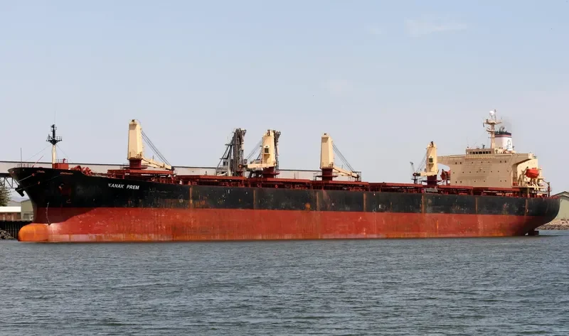 VRINDA Bulk Carrier IMO 9130975 photo 4