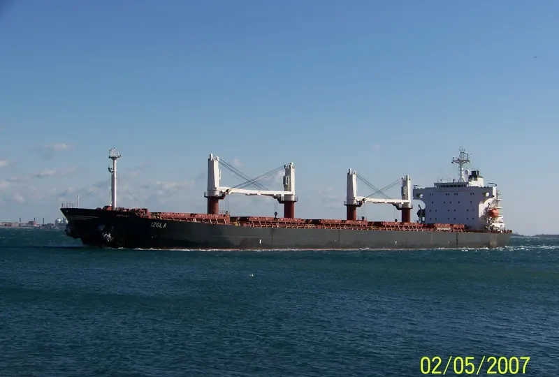 OPAL FORTUNE Bulk Carrier IMO 9131034