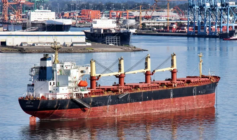 FAN SHUN Bulk Carrier IMO 9131046 photo 4