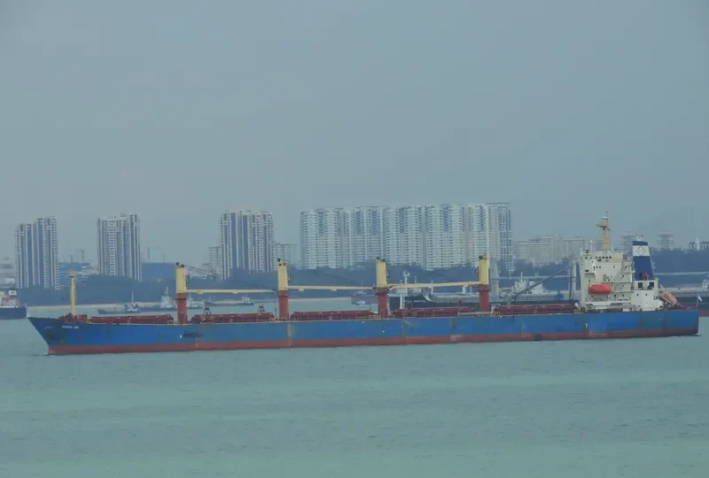 FAN SHUN Bulk Carrier IMO 9131046 photo 5