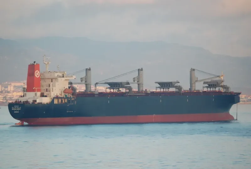 GEM Bulk Carrier IMO 9131072 photo 4