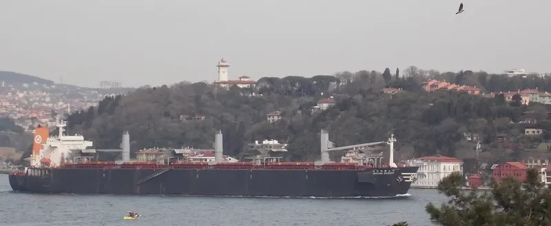 GEM Bulk Carrier IMO 9131072 photo 6
