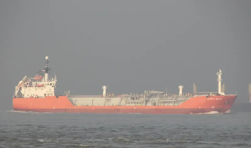 BRIGHT HONOR General Cargo IMO 9131096 photo 6