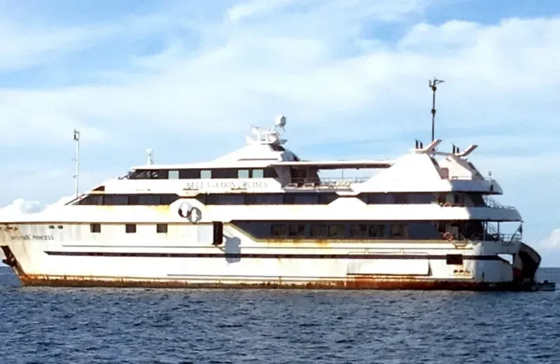 MYSTIQUE PRINCESS Passenger Ship IMO 9131395 photo 2