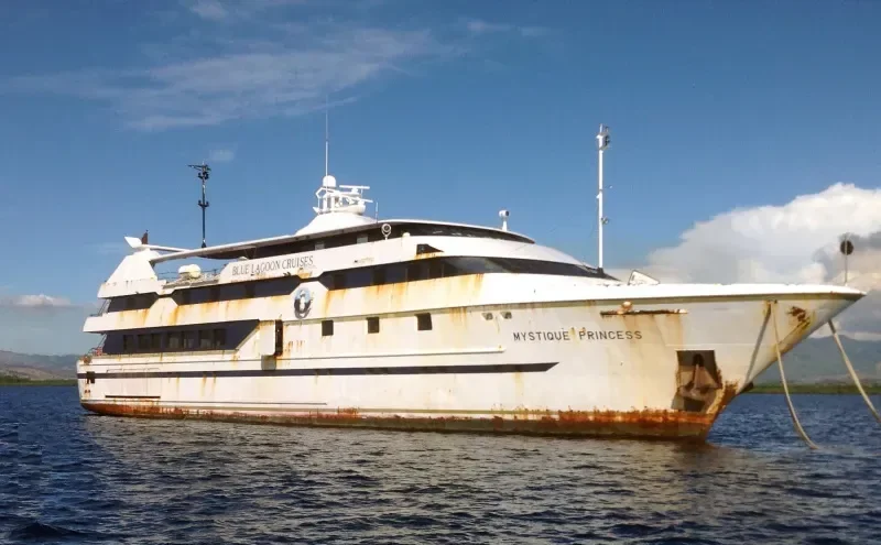 MYSTIQUE PRINCESS Passenger Ship IMO 9131395 photo 4