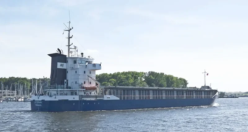 SWE BULK General Cargo IMO 9131589 photo 6