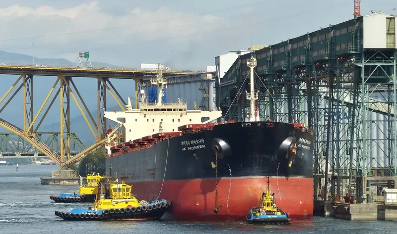 HH PIONEER Bulk Carrier IMO 9131838 photo 3