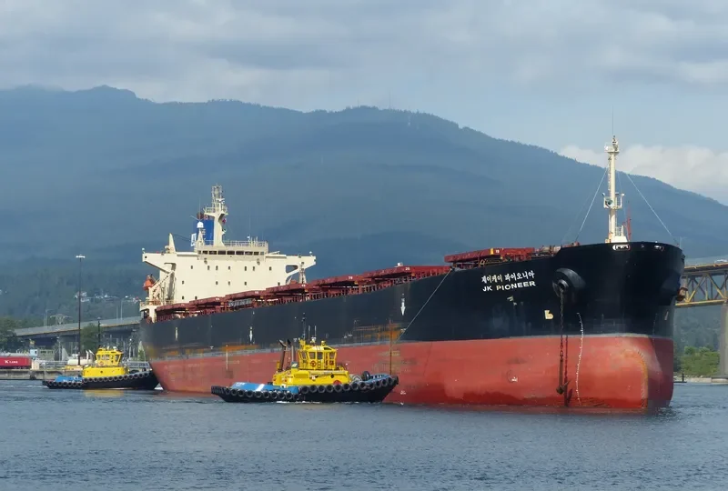 HH PIONEER Bulk Carrier IMO 9131838 photo 5