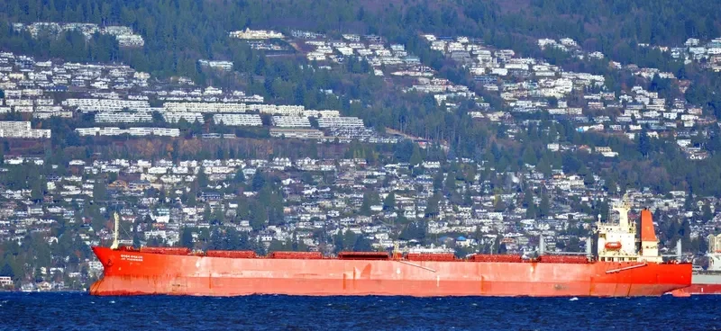 HH PIONEER Bulk Carrier IMO 9131838 photo 9