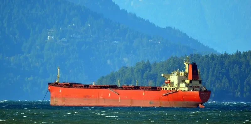 HH PIONEER Bulk Carrier IMO 9131838 photo 10