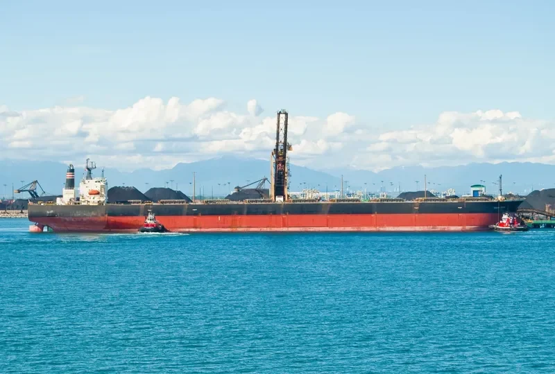 CHAMPEL Bulk Carrier IMO 9131840 photo 9