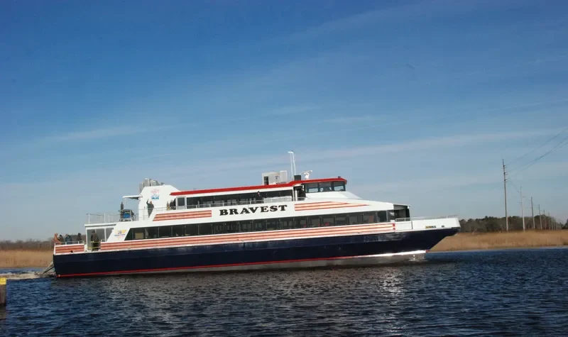 BRAVEST Passenger Ship IMO 9132088 photo 3