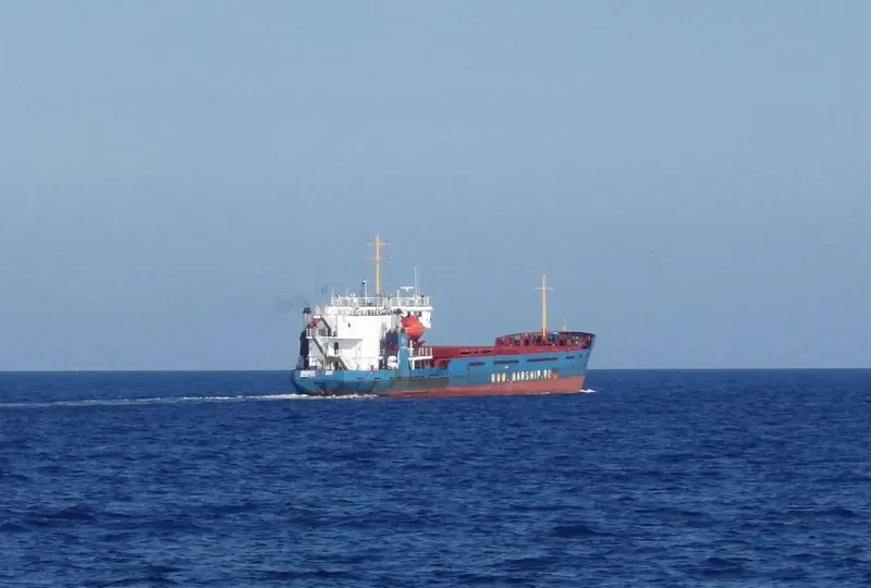 OMSKIY 207 General Cargo IMO 9132363 photo 4