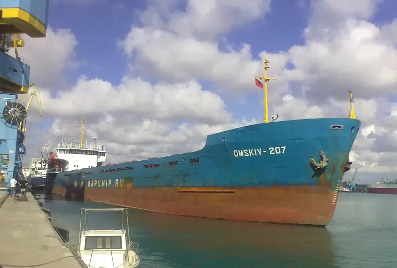 OMSKIY 207 General Cargo IMO 9132363 photo 6