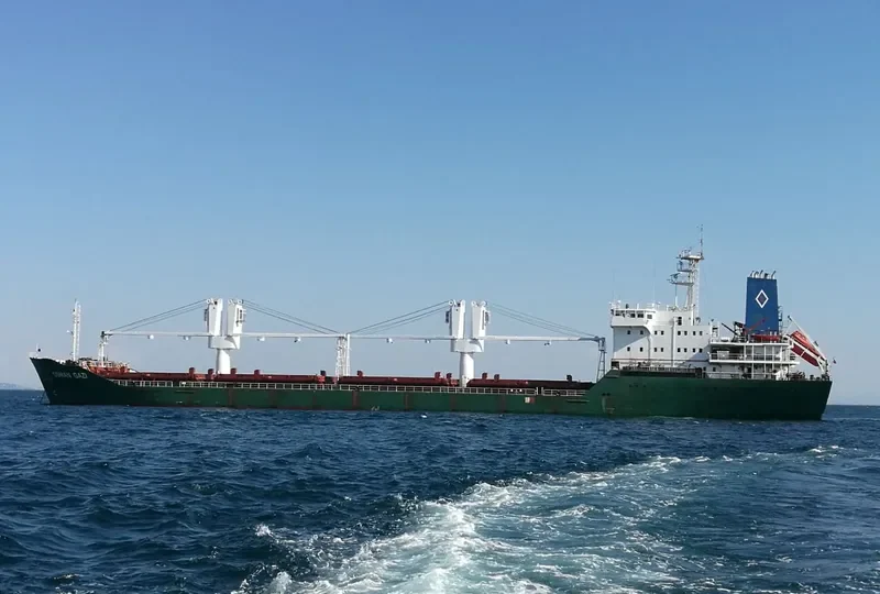 PLUTUS Bulk Carrier IMO 9132519 photo 2
