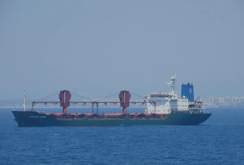 PLUTUS Bulk Carrier IMO 9132519 photo 4