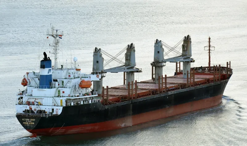 VICTORIA Bulk Carrier IMO 9132650 photo 3