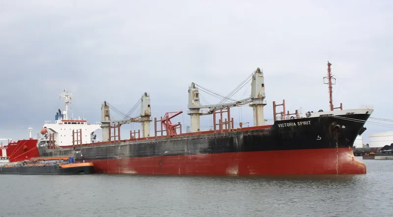 VICTORIA Bulk Carrier IMO 9132650 photo 4