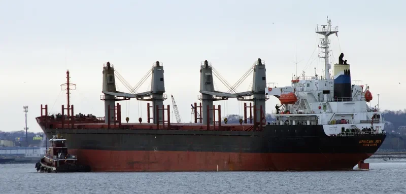 VICTORIA Bulk Carrier IMO 9132650 photo 5