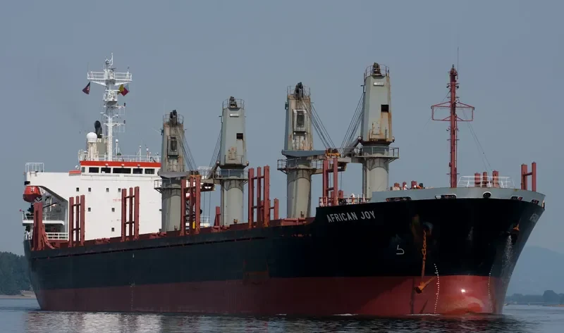 VICTORIA Bulk Carrier IMO 9132650 photo 8