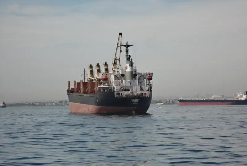 LUGANO Bulk Carrier IMO 9132662