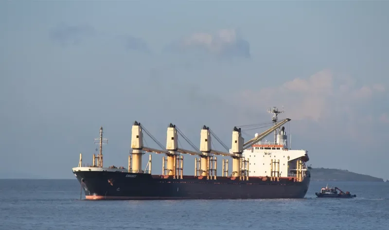 LUGANO Bulk Carrier IMO 9132662 photo 4