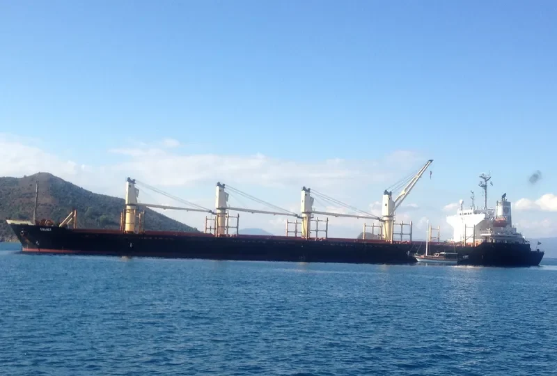 LUGANO Bulk Carrier IMO 9132662 photo 6