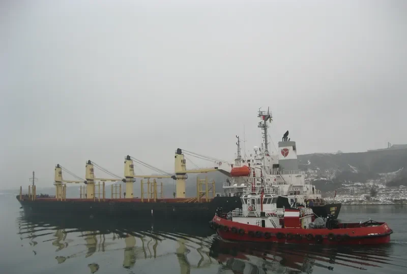LUGANO Bulk Carrier IMO 9132662 photo 9