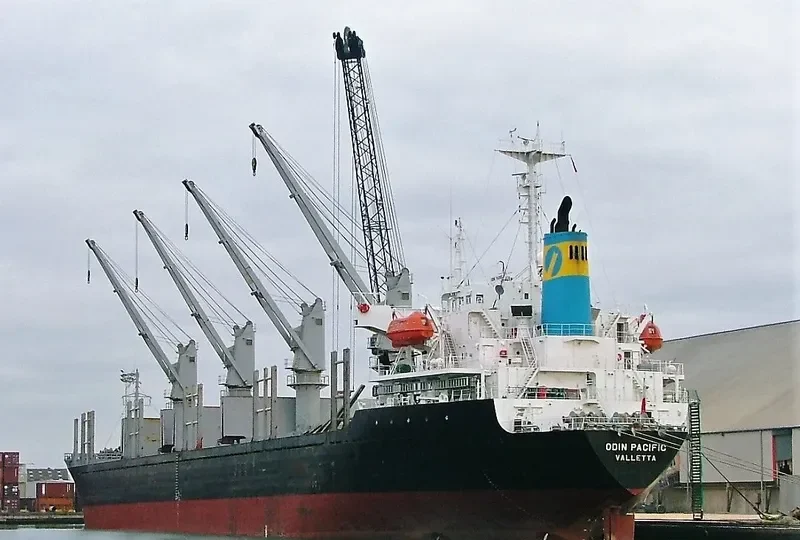 SHENG LE B Bulk Carrier IMO 9132674