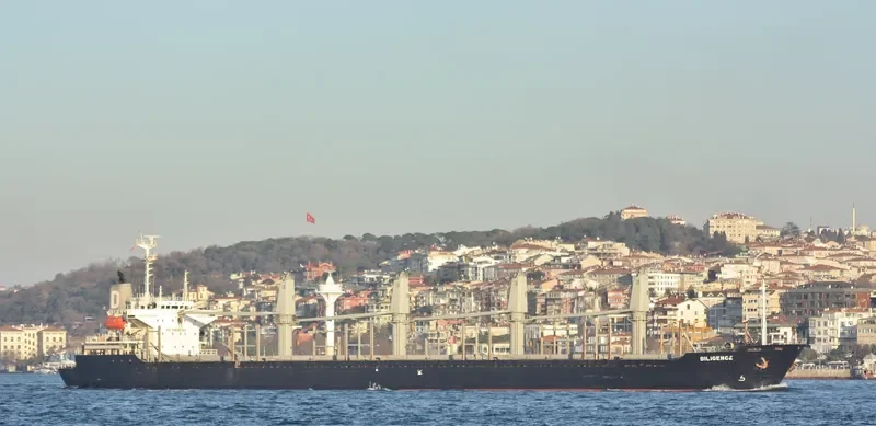 SHENG LE B Bulk Carrier IMO 9132674 photo 2