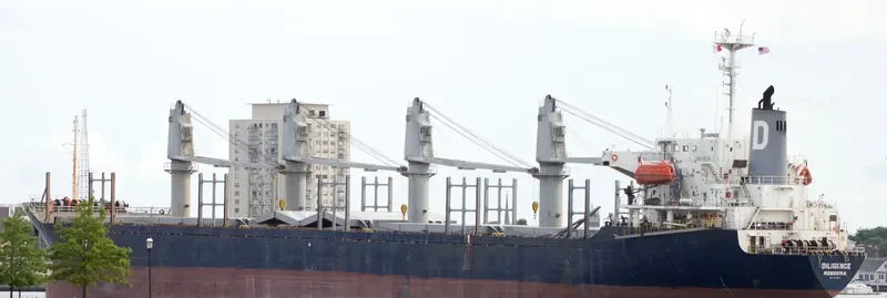 SHENG LE B Bulk Carrier IMO 9132674 photo 4