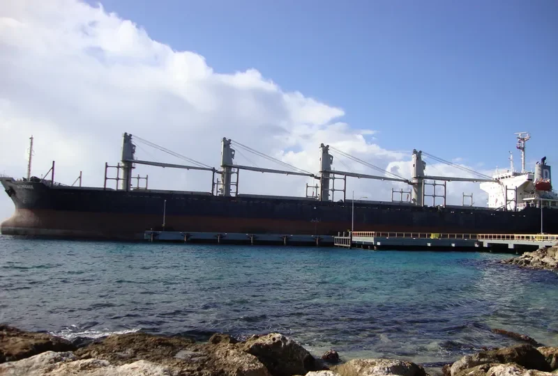 SHENG LE B Bulk Carrier IMO 9132674 photo 5