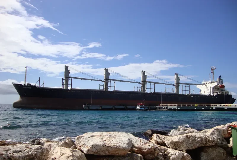 SHENG LE B Bulk Carrier IMO 9132674 photo 6
