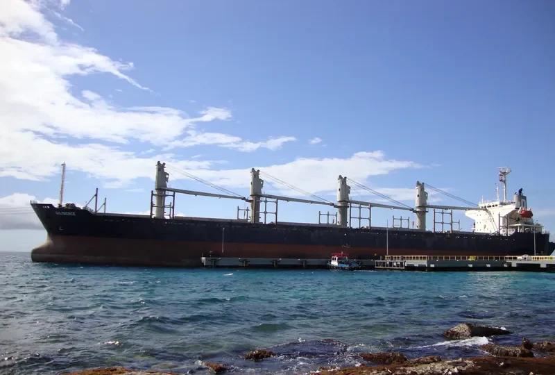 SHENG LE B Bulk Carrier IMO 9132674 photo 7