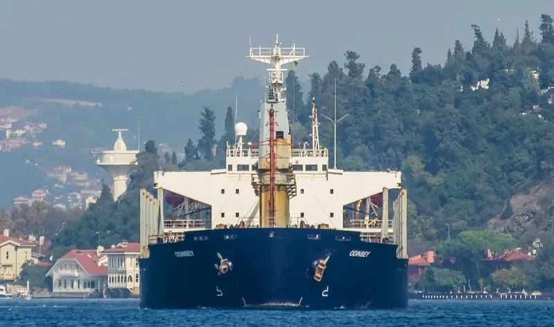 SHENG LE B Bulk Carrier IMO 9132674 photo 10