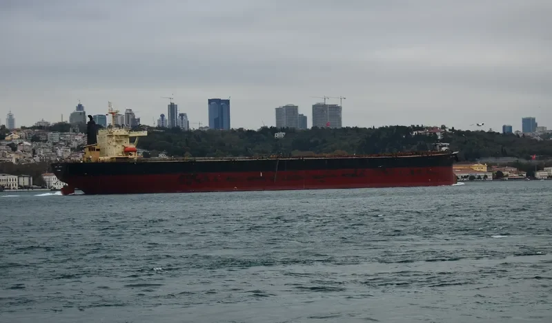 LONG FU STAR Bulk Carrier IMO 9132698 photo 2