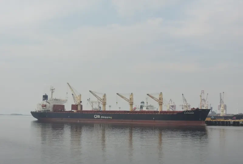 HUA LI Bulk Carrier IMO 9132935 photo 4