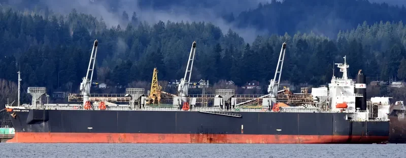 UNI HARMONY General Cargo IMO 9132947 photo 9