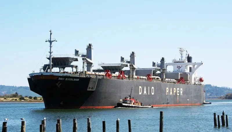 FAITHE Bulk Carrier IMO 9132959