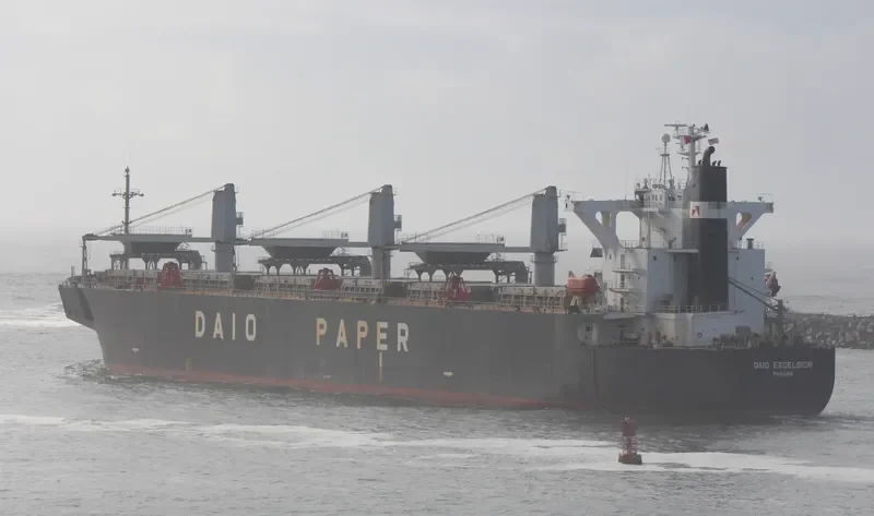 FAITHE Bulk Carrier IMO 9132959 photo 2