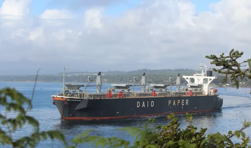 FAITHE Bulk Carrier IMO 9132959 photo 3