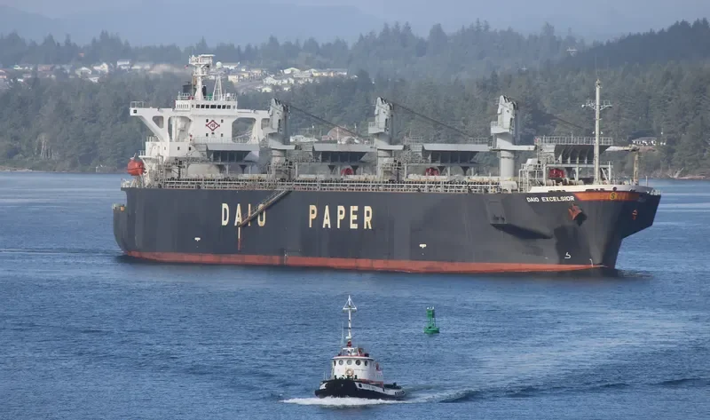 FAITHE Bulk Carrier IMO 9132959 photo 4