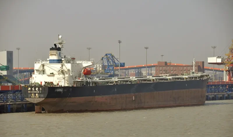 XIN DONG GUAN 3 Bulk Carrier IMO 9132961